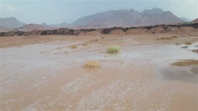 وزير الري يتابع موقف التعامل مع الأمطار الغزيرة المتساقطة بسانت كاترين