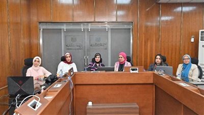 رئيس هيئة الدواء المصرية يترأس الاجتماع الافتراضي الأول لمجموعة العمل المصرية الجنوب إفريقية المشتركة لتعزيز التعاون