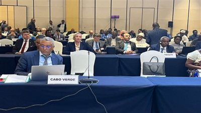 وزيرة البيئة: مصر تؤكد دائما على أهمية إتباع نهج متكامل لضمان التآزر بين اتفاقيات ريو الثلاث