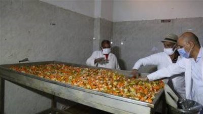 مصادرة 6 أطنان ملح طعام مجهولة المصدر في حملة تموينية بالغربية