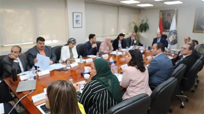 وزير المالية: الترويج للفرص الاستثمارية لجذب التدفقات الأجنبية لمصر 