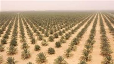 السيسي: مشروع توشكى خطوة في مشوار مصر إلى التنمية