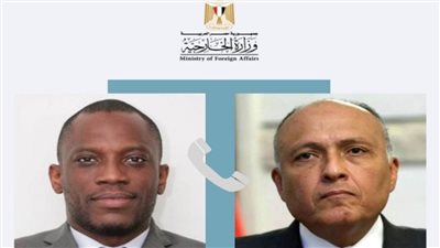 شكري يتلقى اتصالا هاتفيا من وزير خارجية بنين