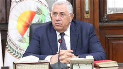 القصير: الإفراج عن 167 ألف طن أعلاف بـ75 مليون دولار خلال أسبوع