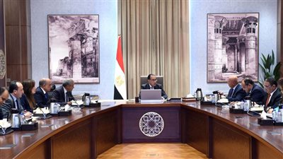 رئيس الوزراء يتابع جهود تطوير شركة مصر للطيران