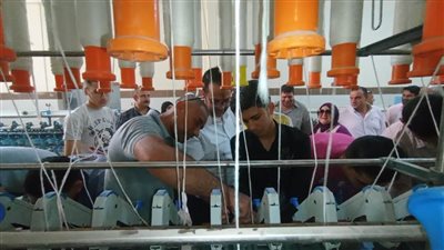 وكيل تعليم الغربية.. يتابع البرنامج التدريبي لتنمية مهارات القوى البشرية ضمن حياة كريمة