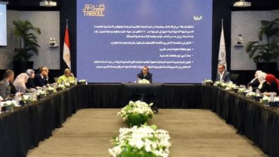  الهيئة العامة للاستثمار والمناطق الحرة توافق على إقامة مدينة طربول بنظام المناطق الاستثمارية