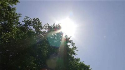 درجة الحرارة تصل لـ46.. الأرصاد تحذر من موجة حارة بداية من الغد