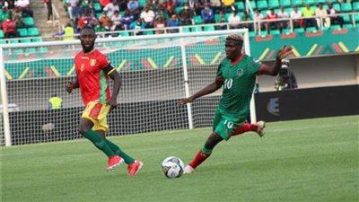 مجموعة مصر.. تعادل إيجابي 2-2 بين غينيا ومالاوي في تصفيات أمم إفريقيا