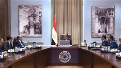 رئيس الوزراء يتابع إجراءات تعظيم دور الطاقة المتجددة خلال الفترة المقبلة