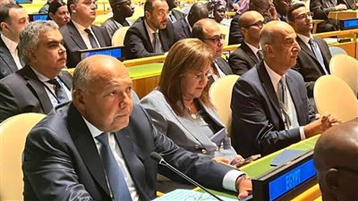 وزير الخارجية يلقي كلمة مصر في قمة أهداف التنمية المستدامة بنيويورك