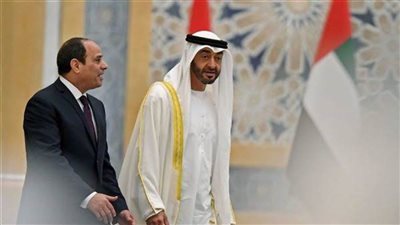 السيسي وبن زايد يبحثان الاستفادة من التجربة المصرية الناجحة في استضافة كوب27