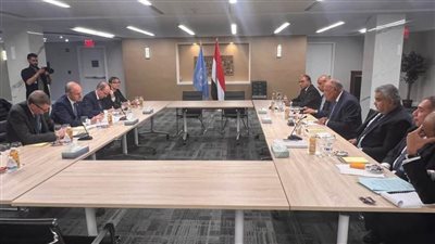 سامح شكري يلتقي نائب رئيس الوزراء ووزير الخارجية والدفاع الأيرلندي