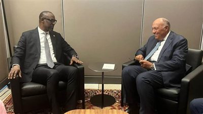 سامح شكري يلتقي وزير خارجية مالي