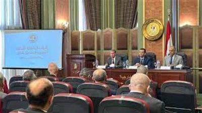 رئيس الوطنية للانتخابات يبحث مع وزير الخارجية الاستعدادات لتصويت المصريين بالخارج