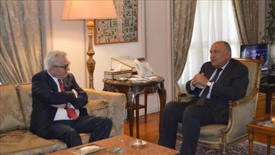 مصر وتركيا تبحثان سبل تنسيق الجهود الإقليمية لخفض التصعيد بين الفلسطينيين والإسرائيليين