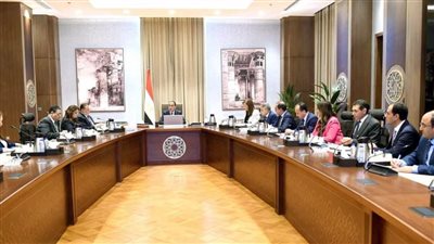 رئيس الوزراء يتابع موقف المبادرات الخاصة بإتاحة المزيد من التيسيرات والمحفزات للمصريين بالخارج