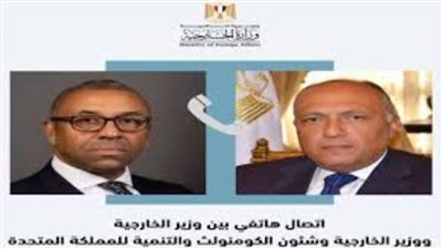 شكري يدعو الفاعلين الدوليين إلى علاج القضية الفلسطينية من منظور شامل