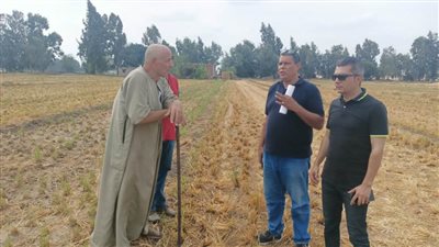 وزيرة البيئة توجه بتشديد الرقابة من المحافظين بسبب حرائق المخلفات الزراعية