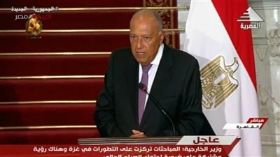 الخارجية المصرية تؤكد ضرورة إنهاء الاحتلال الإسرائيلى للأراضى الفلسطينية