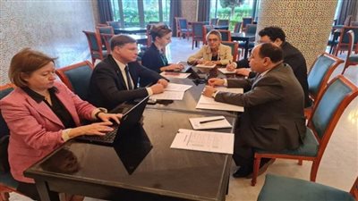 وزير المالية: آفاق رحبة للاستثمارات المحلية والأجنبية بمصر (صور)