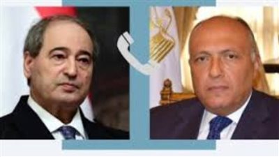 شكري: إنفاذ المساعدات الإنسانية للفلسطينيين ضرورة لا غنى عنها