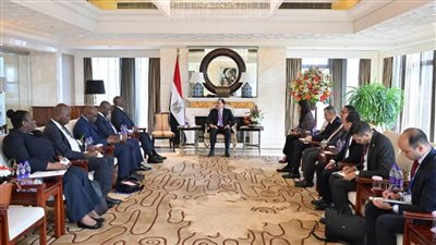 رئيس الوزراء يلتقي رئيس البنك الإفريقي للتصدير والاستيراد 