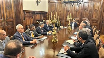 سفير مصر بأثينا يستعرض أمام وزير خارجية اليونان محددات الموقف العربي تجاه التصعيد الإسرائيلي الفلسطيني الراهن