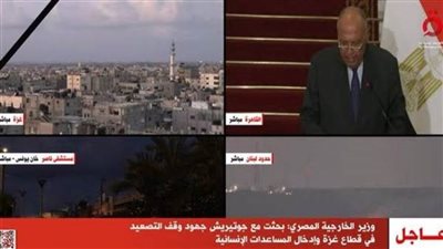 دخول المساعدات لغزة.. وزير الخارجية: أؤكد حرص مصر على استمرار عمل معبر رفح