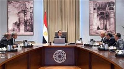 مصر تتعاقد مع 3 سفن لنقل الحبوب والبضائع إلى أفريقيا لزيادة الصادرات