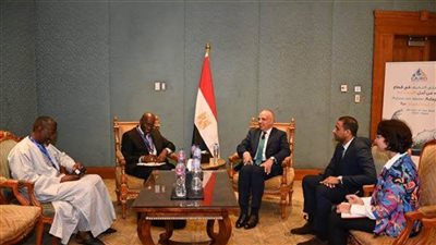 وزير الري لمدير البنك الأفريقي: تنفيذ مشروعات التكيف يستلزم توفير تمويلات ضخمة