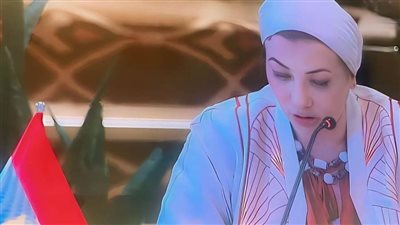  وزيرة البيئة تشارك في المائدة المستديرة حول 