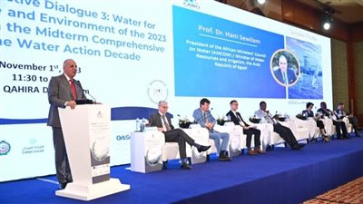 وزير الري يشارك في جلسة 