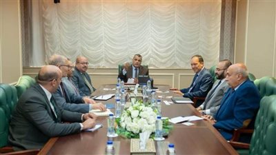 وزير  الإنتاج الحربي يبحث إمكانية التعاون مع إحدى شركات القطاع الخاص