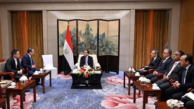 رئيس الوزراء يلتقي رئيس 