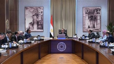 في اجتماع برئاسة رئيس الوزراء الاستجابة لمتطلبات عدد من المصانع القائمة وتوسعاتها ببورسعيد