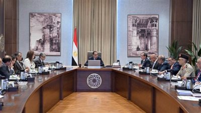 مدبولي يوجه بسرعة اعتماد استراتيجية الهيدروجين الأخضر