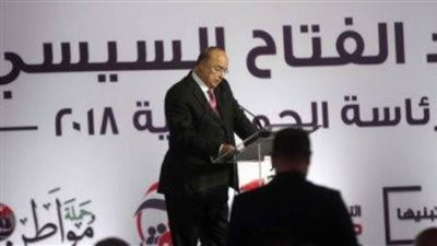 حملة السيسي الانتخابية تؤكد 6 ثوابت مهمة وتعلن خبرا سارا للفلسطينيين