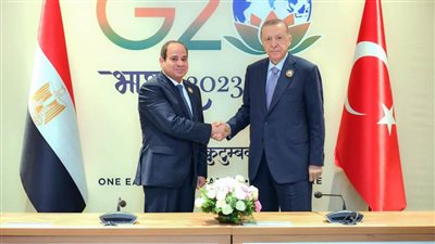  مشاورات مصرية تركية تؤكد تنسيق الجهود للوقف الفوري لإطلاق النار في غزة