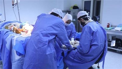 وزير الصحة: عودة المصابين الفلسطينيين إلى أراضيهم عقب الاستشفاء