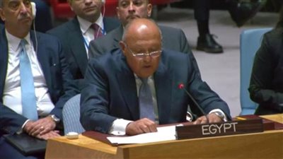 شكري : مصر تبذل كل جهودها في وصول المساعدات لقطاع غزة