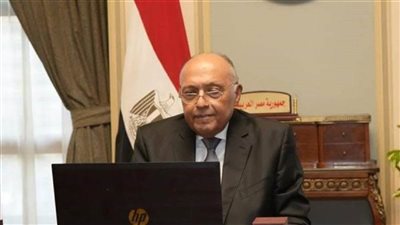 وزير الخارجية : نستعد لاستقبال الأطفال حديثي الولادة من قطاع غزة