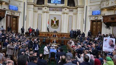 برلماني: مصر تلقت عروضا دولية حقيرة للمساومة على الأرض