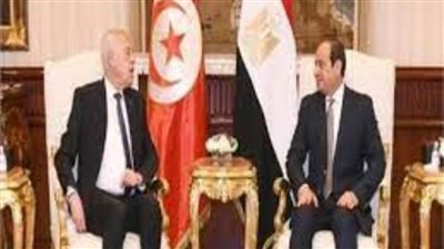 تحرك عاجل.. الرئيس السيسي ونظيره التونسي يتفقان على تقديم كافة سبل الدعم لإغاثة أهالي غزة