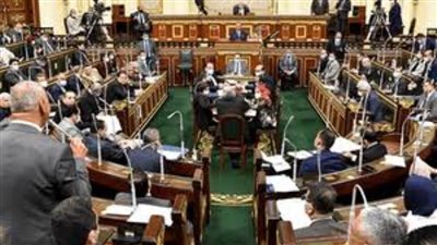 الحكومة: 47.8 مليار دولار حجم التبادل التجاري مع دول البريكس و55 مشروعا قائما