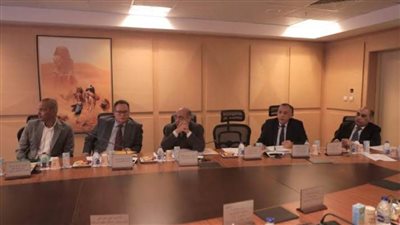 الأعلى للآثار يوافق على تسجيل عدد من القطع الأثرية