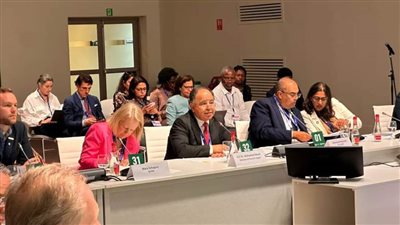 وزير المالية: تطوير الهيكل المالي العالمي لتيسير التمويل الأخضر بالدول النامية