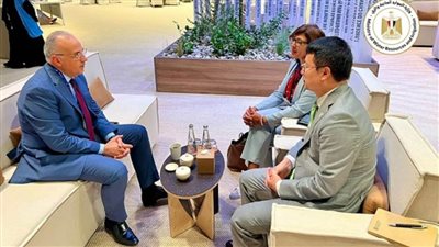 وزير الري يبحث مع نائب مدير منظمة الفاو سُبل تعزيز التعاون بين الجانبين