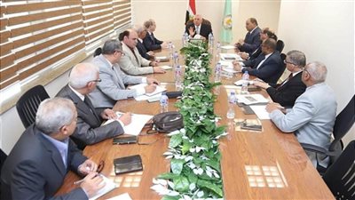 وزير الزراعة يتابع مع قيادات الوزارة زراعة القمح ويوجه بالحصر الدقيق للمساحات المنزرعة 