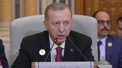 أردوغان: تركيا ستبذل كل ما في وسعها لمحاسبة إسرائيل